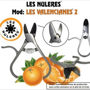 Cortanaranjas Les Nuleres(les Valencianes2(punt-c)