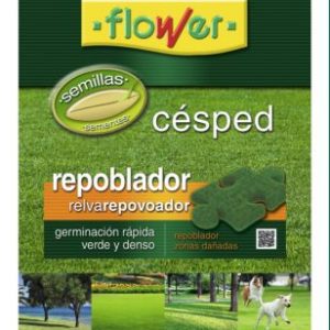 Semillas Cesped Repoblador 1 Kg. 1-10871