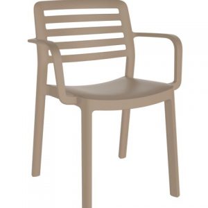 Silla Wind Con Brazos Arena