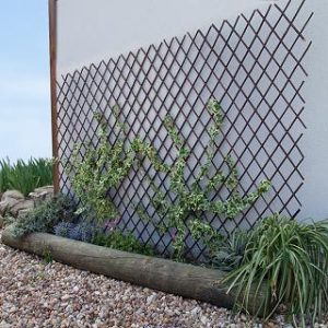 Celosia Extensible 0,5x1,5 Nort Willow Trellis