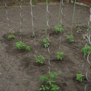 Tutor Acero Espiral Tomatero 7mm X 1,80m