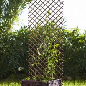 Celosia Mimbre Extensible 0,5x1,5m 43040012