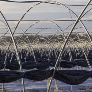 Film Especial Huerto 1,5x10 M. 80255