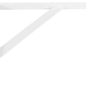 Palomilla 1 Bl.100x75