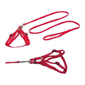 Arnes Y Correa Nylon Reg. C/rojo