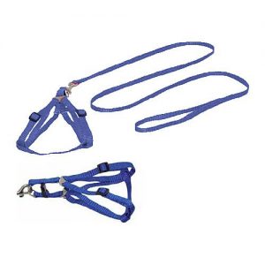 Arnes Y Correa Nylon Reg. C/azul