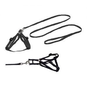 Arnes Y Correa Nylon Reg. C/negro