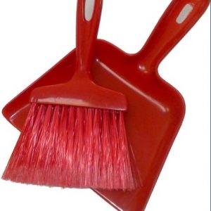 Conjunto Limpiador Multiusos Auto (cepillo+paleta)