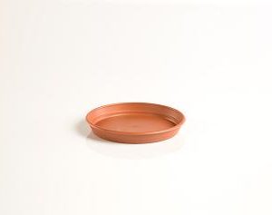 Plato Gardenia 18centimetros Para Maceta 22cm