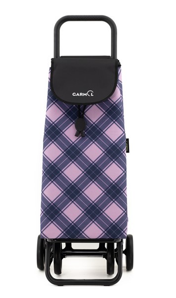 Carro Compra G5 Cuadro Lirio