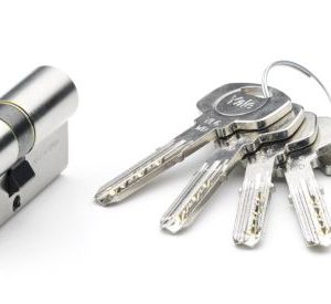 Cilindro Seguridad 30x40 Wg Niquel Yl6 70 Yl63040